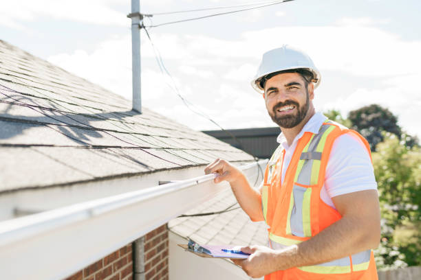 Best Roof Moss and Algae Removal  in Livingston, MT
